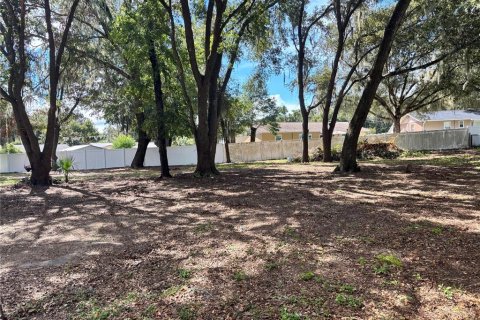 Land in Ocklawaha, Florida № 2380448