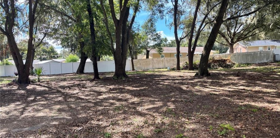 Land in Ocklawaha, Florida № 2380448
