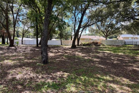 Land in Ocklawaha, Florida № 2380448 - photo 2