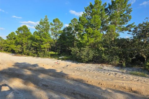 Terreno en venta en Orlando, Florida № 1899409 - foto 5