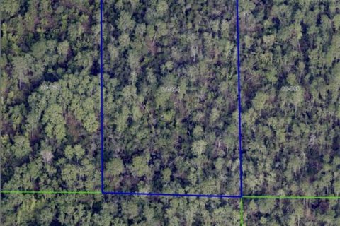 Terreno en venta en Orlando, Florida № 1899409 - foto 6