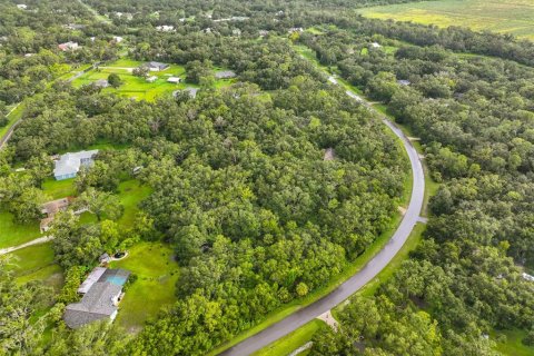 Land in Wimauma, Florida № 1906092 - photo 2