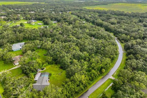 Land in Wimauma, Florida № 1906092 - photo 4