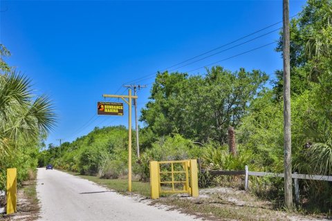 Land in Wimauma, Florida № 1906092 - photo 6