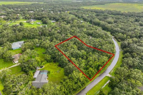 Land in Wimauma, Florida № 1906092 - photo 1