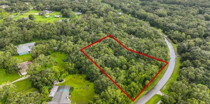 Terreno en Wimauma, Florida № 1906092