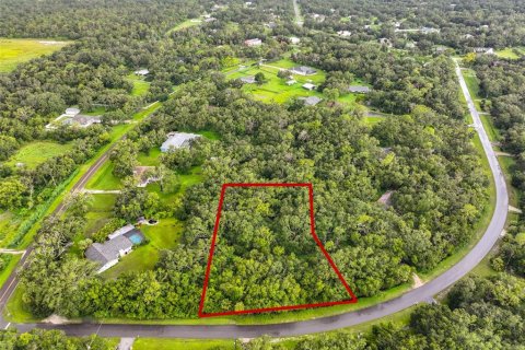 Land in Wimauma, Florida № 1906092 - photo 3