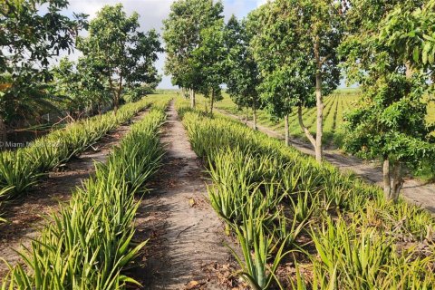 Propiedad comercial en venta en Palm Beach, Florida № 1936366 - foto 12