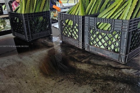 Propiedad comercial en venta en Palm Beach, Florida № 1936366 - foto 5