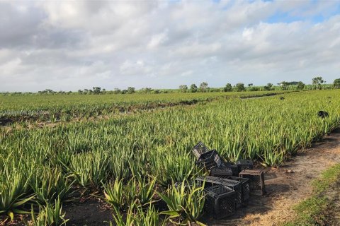 Propiedad comercial en venta en Palm Beach, Florida № 1936366 - foto 10