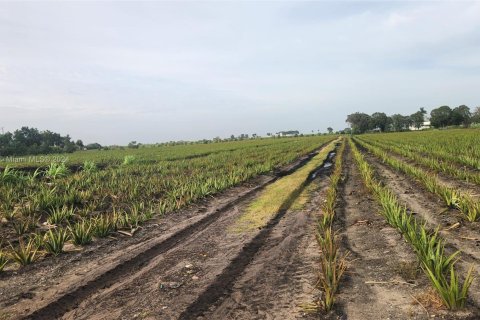 Propiedad comercial en venta en Palm Beach, Florida № 1936366 - foto 16