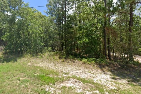 Terrain à Ocala, Floride № 2161408