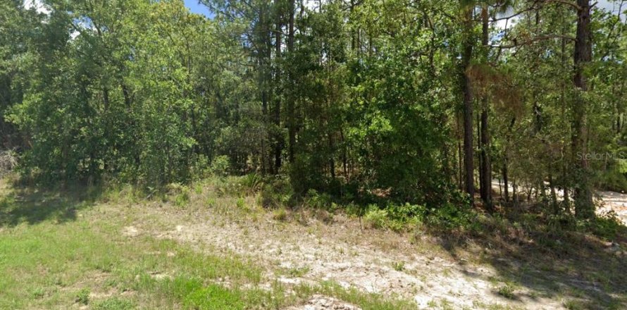 Terrain à Ocala, Floride № 2161408