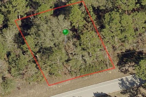 Land in Citrus Springs, Florida № 2162578