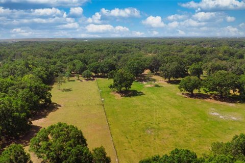Land in Auburndale, Florida № 1629973 - photo 6