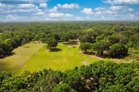 Land in Auburndale, Florida № 1629973 - photo 1