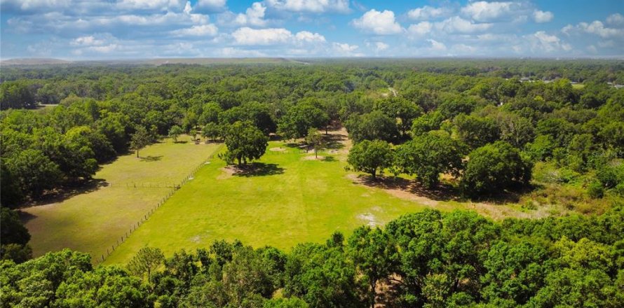 Land in Auburndale, Florida № 1629973