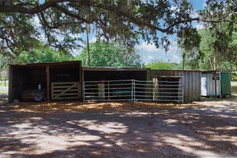 Land in Auburndale, Florida № 1629973 - photo 8
