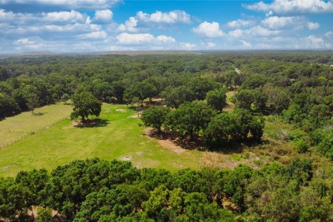 Land in Auburndale, Florida № 1629973 - photo 5