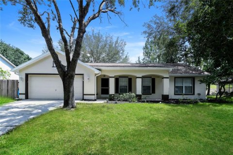 Villa ou maison à Minneola, Floride 4 chambres, 147.25 m2 № 2364690