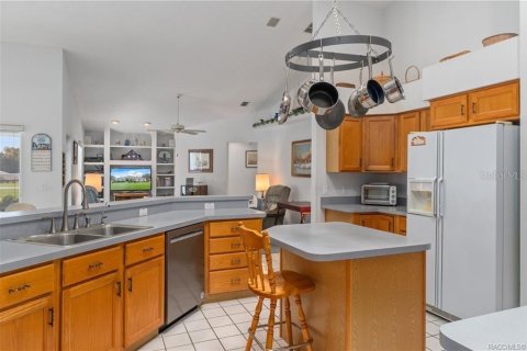 Villa ou maison à vendre à Inverness, Floride: 3 chambres, 208.84 m2 № 1908195 - photo 11