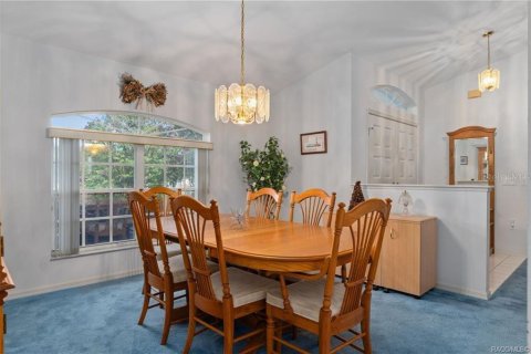 Villa ou maison à vendre à Inverness, Floride: 3 chambres, 208.84 m2 № 1908195 - photo 10
