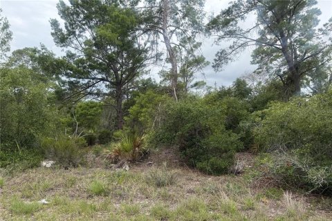 Land in Lake Placid, Florida № 2233300