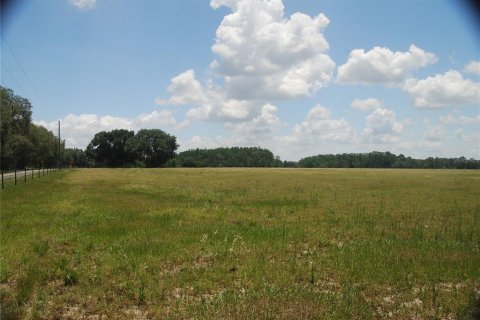 Land in Groveland, Florida № 885462 - photo 1