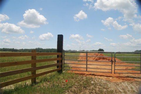Land in Groveland, Florida № 885462 - photo 5