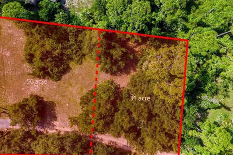 Terreno en venta en Flagler Beach, Florida № 1900512 - foto 3