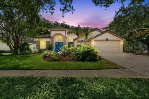 House in Tampa, Florida 4 bedrooms, 224.17 sq.m. № 2329617