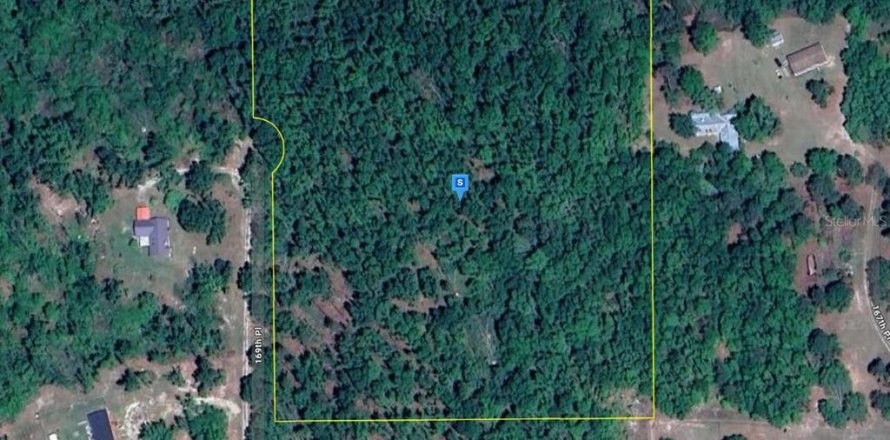 Terreno en MC Alpin, Florida № 1785659