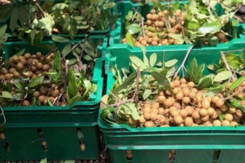 Casa en venta en Homestead, Florida, 2 dormitorios № 1990048 - foto 4