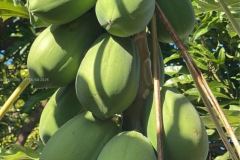 Casa en venta en Homestead, Florida, 2 dormitorios № 1990048 - foto 10