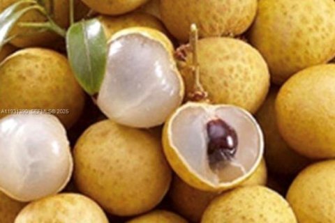 Casa en venta en Homestead, Florida, 2 dormitorios № 1990048 - foto 13