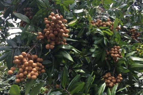 Casa en venta en Homestead, Florida, 2 dormitorios № 1990048 - foto 2