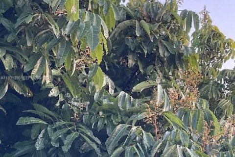 Casa en venta en Homestead, Florida, 2 dormitorios № 1990048 - foto 22