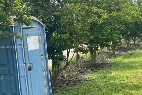 Casa en venta en Homestead, Florida, 2 dormitorios № 1990048 - foto 8