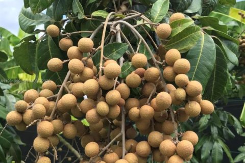 Casa en venta en Homestead, Florida, 2 dormitorios № 1990048 - foto 12