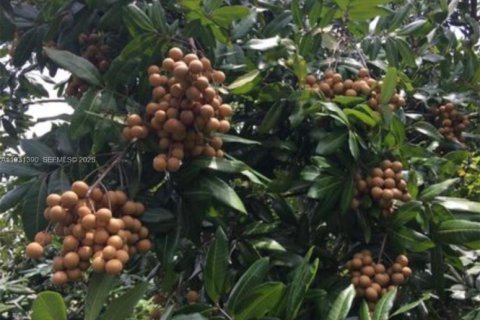 Casa en venta en Homestead, Florida, 2 dormitorios № 1990048 - foto 15