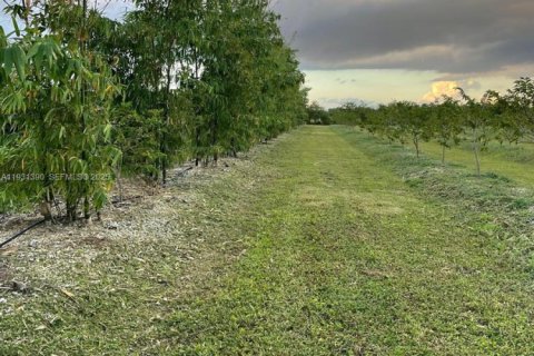 Casa en venta en Homestead, Florida, 2 dormitorios № 1990048 - foto 17