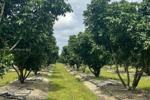 Casa en venta en Homestead, Florida, 2 dormitorios № 1990048 - foto 1