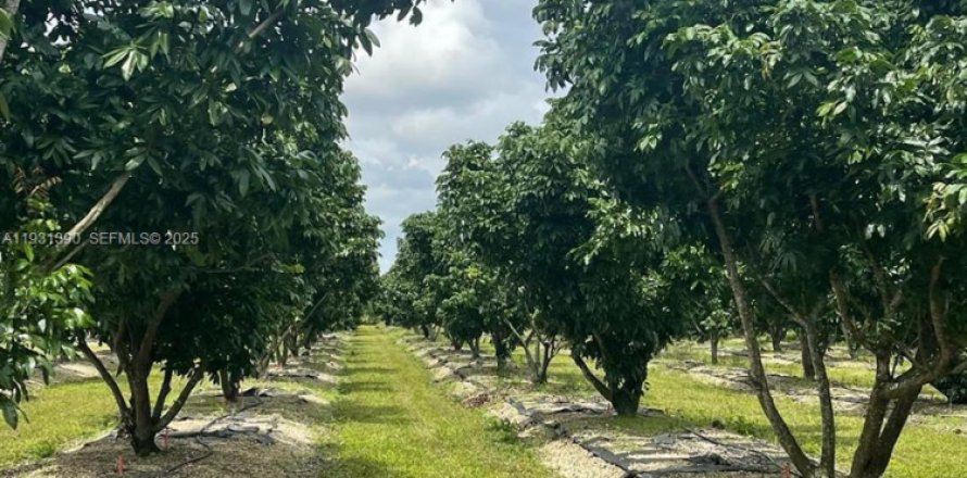 Casa en Homestead, Florida 2 dormitorios № 1990048