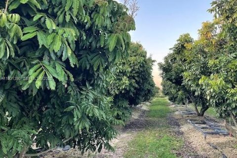 Casa en venta en Homestead, Florida, 2 dormitorios № 1990048 - foto 20