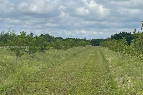 Casa en venta en Homestead, Florida, 2 dormitorios № 1990048 - foto 14