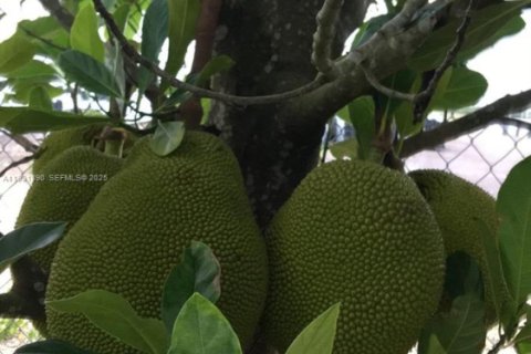 Casa en venta en Homestead, Florida, 2 dormitorios № 1990048 - foto 16