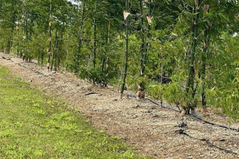 Casa en venta en Homestead, Florida, 2 dormitorios № 1990048 - foto 18