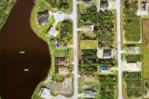 Land in Rotonda, Florida № 1669927 - photo 1