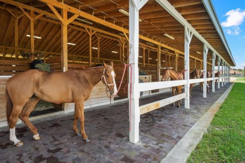 Casa en venta en Wellington, Florida, 4 dormitorios, 63.73 m2 № 2171418 - foto 11