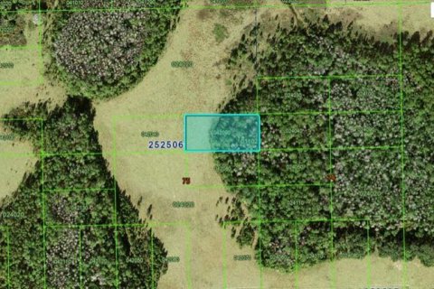 Terreno en Polk City, Florida № 2235098